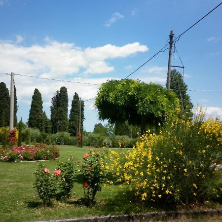 Villa Jolanda Fratte Rosa Exterior photo